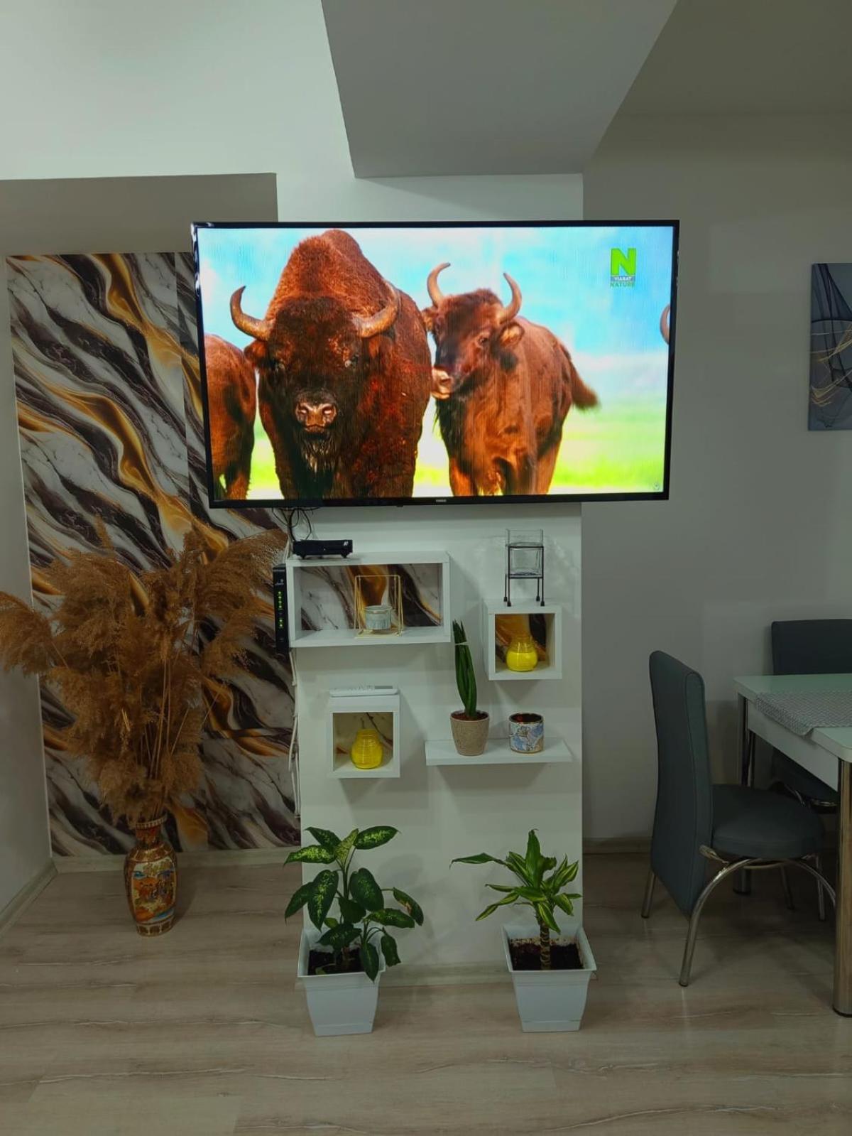 Maksim Apartments スコピエ エクステリア 写真